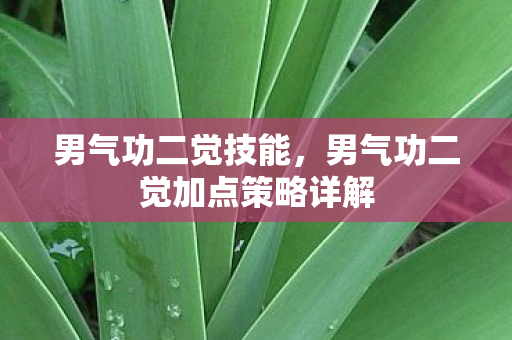 男气功二觉技能,男气功二觉加点策略详解 男气功二觉技能,男气功二觉加点策略详解