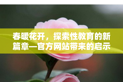 春暖花开，探索性教育的新篇章—官方网站带来的启示