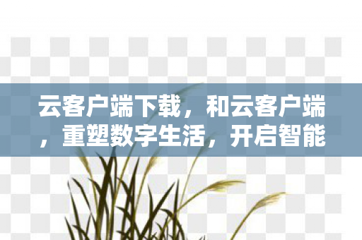 云客户端下载,和云客户端,重塑数字生活,开启智能办公新篇章 云客户端下载,和云客户端,重塑数字生活,开启智能办公新篇章