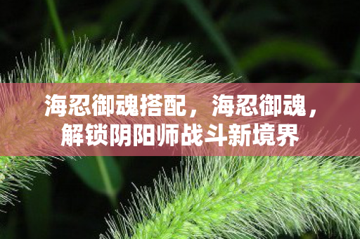 海忍御魂搭配,海忍御魂,解锁阴阳师战斗新境界 海忍御魂搭配,海忍御魂,解锁阴阳师战斗新境界