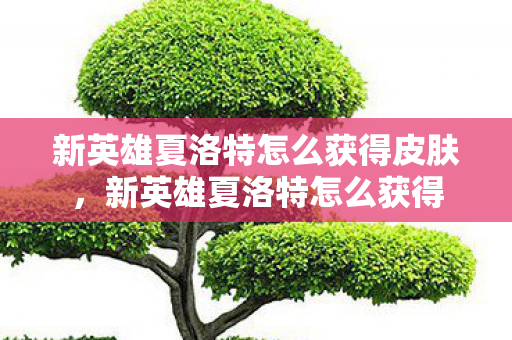 新英雄夏洛特怎么获得皮肤，新英雄夏洛特怎么获得