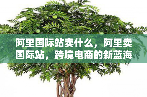 阿里国际站卖什么，阿里卖国际站，跨境电商的新蓝海