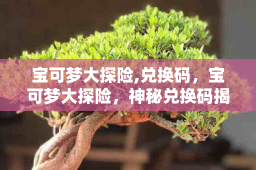 宝可梦大探险,兑换码,宝可梦大探险,神秘兑换码揭秘 宝可梦大探险,兑换码,宝可梦大探险,神秘兑换码揭秘