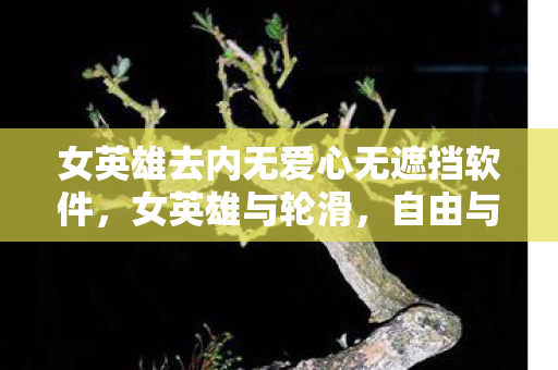 女英雄去内无爱心无遮挡软件，女英雄与轮滑，自由与力量的展现