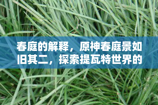 春庭的解释,原神春庭景如旧其二,探索提瓦特世界的深度与广度 春庭的解释,原神春庭景如旧其二,探索提瓦特世界的深度与广度