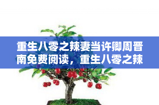 重生八零之辣妻当许卿周晋南免费阅读,重生八零之辣妻当许卿周晋南 重生八零之辣妻当许卿周晋南免费阅读,重生八零之辣妻当许卿周晋南