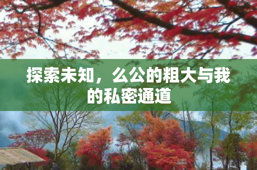 探索未知,么公的粗大与我的私密通道 探索未知,么公的粗大与我的私密通道