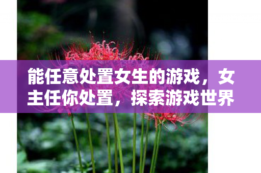能任意处置女生的游戏,女主任你处置,探索游戏世界的无限可能 能任意处置女生的游戏,女主任你处置,探索游戏世界的无限可能
