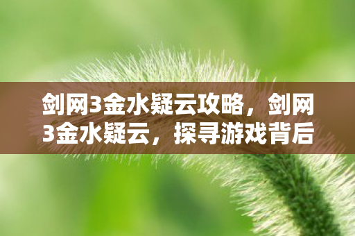 剑网3金水疑云攻略,剑网3金水疑云,探寻游戏背后的故事与谜团 剑网3金水疑云攻略,剑网3金水疑云,探寻游戏背后的故事与谜团