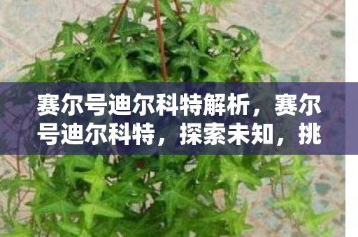 赛尔号迪尔科特解析,赛尔号迪尔科特,探索未知,挑战极限 赛尔号迪尔科特解析,赛尔号迪尔科特,探索未知,挑战极限