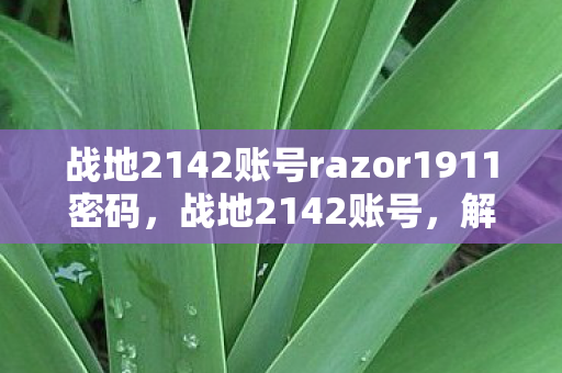 战地2142账号razor1911密码，战地2142账号，解锁你的游戏之旅