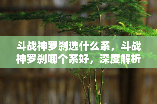 斗战神罗刹选什么系，斗战神罗刹哪个系好，深度解析与选择建议