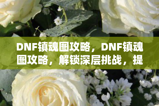 DNF镇魂图攻略，DNF镇魂图攻略，解锁深层挑战，提升角色实力