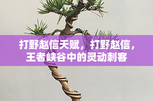 打野赵信天赋,打野赵信,王者峡谷中的灵动刺客 打野赵信天赋,打野赵信,王者峡谷中的灵动刺客