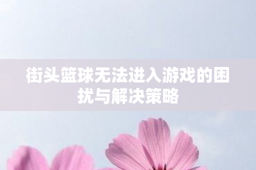 街头篮球无法进入游戏的困扰与解决策略 街头篮球无法进入游戏的困扰与解决策略