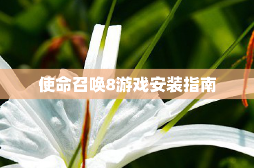 使命召唤8游戏安装指南 使命召唤8游戏安装指南