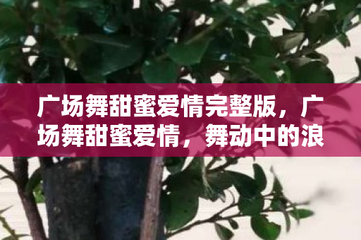广场舞甜蜜爱情完整版,广场舞甜蜜爱情,舞动中的浪漫旋律 广场舞甜蜜爱情完整版,广场舞甜蜜爱情,舞动中的浪漫旋律