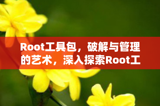 Root工具包,破解与管理的艺术,深入探索Root工具包的无限可能 Root工具包,破解与管理的艺术,深入探索Root工具包的无限可能