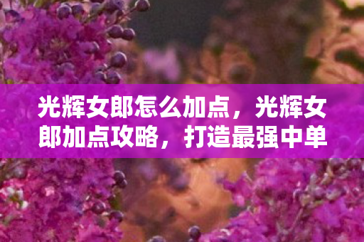 光辉女郎怎么加点,光辉女郎加点攻略,打造最强中单法师 光辉女郎怎么加点,光辉女郎加点攻略,打造最强中单法师