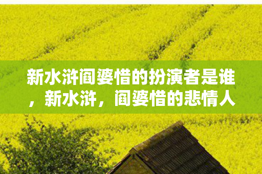 新水浒阎婆惜的扮演者是谁,新水浒,阎婆惜的悲情人生 新水浒阎婆惜的扮演者是谁,新水浒,阎婆惜的悲情人生