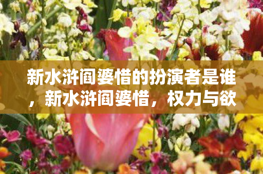 新水浒阎婆惜的扮演者是谁，新水浒阎婆惜，权力与欲望的交织