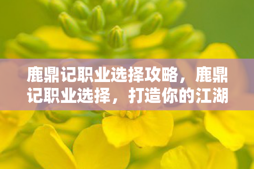 鹿鼎记职业选择攻略，鹿鼎记职业选择，打造你的江湖之路