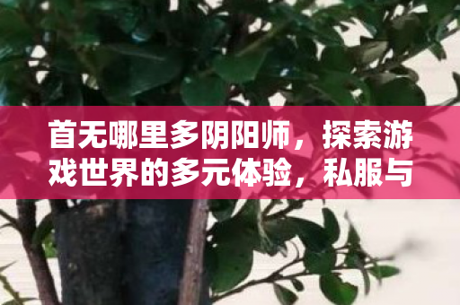 首无哪里多阴阳师,探索游戏世界的多元体验,私服与官方服务器的独特魅力 首无哪里多阴阳师,探索游戏世界的多元体验,私服与官方服务器的独特魅力