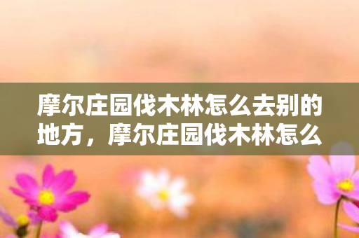 摩尔庄园伐木林怎么去别的地方,摩尔庄园伐木林怎么去 摩尔庄园伐木林怎么去别的地方,摩尔庄园伐木林怎么去