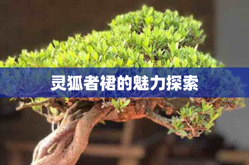 灵狐者裙的魅力探索