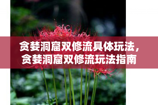 贪婪洞窟双修流具体玩法,贪婪洞窟双修流玩法指南 贪婪洞窟双修流具体玩法,贪婪洞窟双修流玩法指南