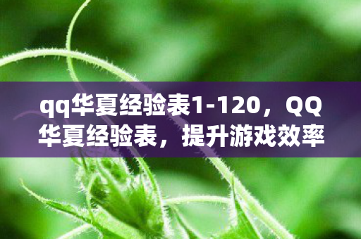 qq华夏经验表1-120,QQ华夏经验表,提升游戏效率与角色实力的关键指南 qq华夏经验表1-120,QQ华夏经验表,提升游戏效率与角色实力的关键指南