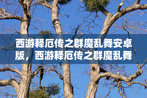 西游释厄传之群魔乱舞安卓版,西游释厄传之群魔乱舞 西游释厄传之群魔乱舞安卓版,西游释厄传之群魔乱舞