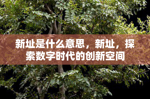 新址是什么意思,新址,探索数字时代的创新空间 新址是什么意思,新址,探索数字时代的创新空间