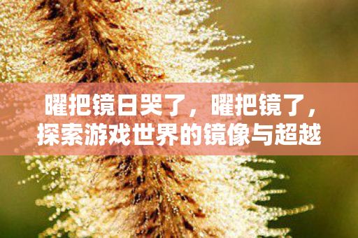 曜把镜日哭了,曜把镜了,探索游戏世界的镜像与超越 曜把镜日哭了,曜把镜了,探索游戏世界的镜像与超越