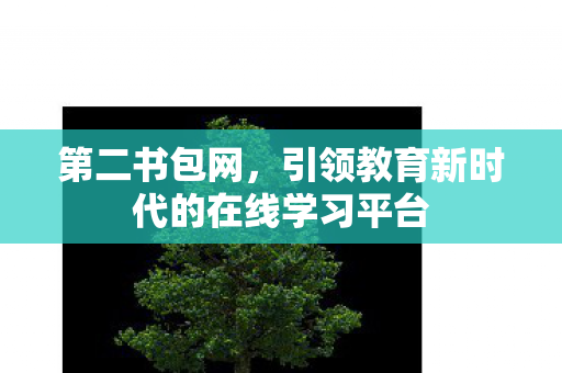 第二书包网,引领教育新时代的在线学习平台 第二书包网,引领教育新时代的在线学习平台