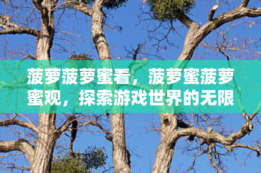 菠萝菠萝蜜看,菠萝蜜菠萝蜜观,探索游戏世界的无限可能 菠萝菠萝蜜看,菠萝蜜菠萝蜜观,探索游戏世界的无限可能