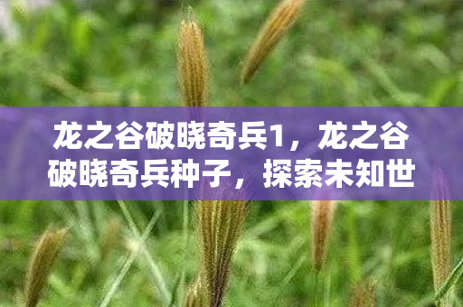 龙之谷破晓奇兵1,龙之谷破晓奇兵种子,探索未知世界的奇妙之旅 龙之谷破晓奇兵1,龙之谷破晓奇兵种子,探索未知世界的奇妙之旅