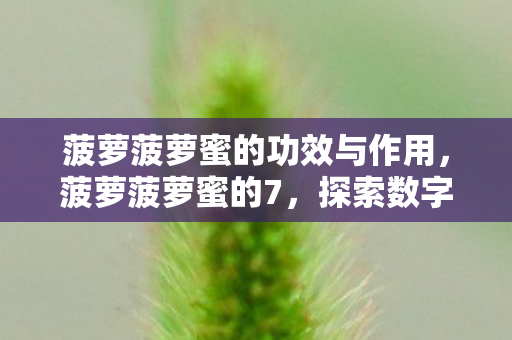 菠萝菠萝蜜的功效与作用,菠萝菠萝蜜的7,探索数字世界的奇妙之旅 菠萝菠萝蜜的功效与作用,菠萝菠萝蜜的7,探索数字世界的奇妙之旅