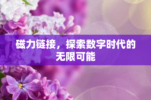 磁力链接,探索数字时代的无限可能 磁力链接,探索数字时代的无限可能