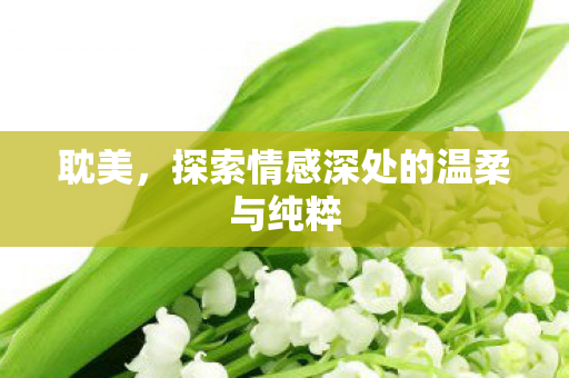 耽美,探索情感深处的温柔与纯粹 耽美,探索情感深处的温柔与纯粹
