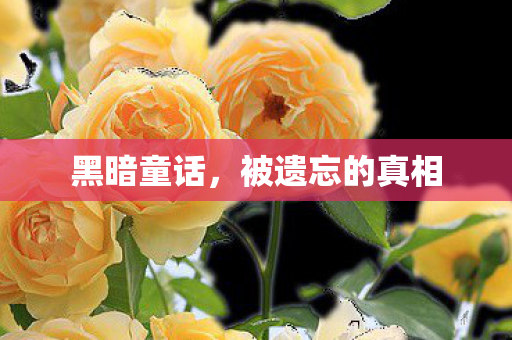 黑暗童话，被遗忘的真相