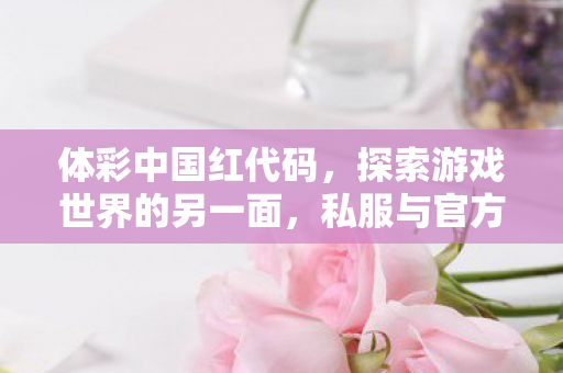 体彩中国红代码，探索游戏世界的另一面，私服与官方服务器的独特魅力