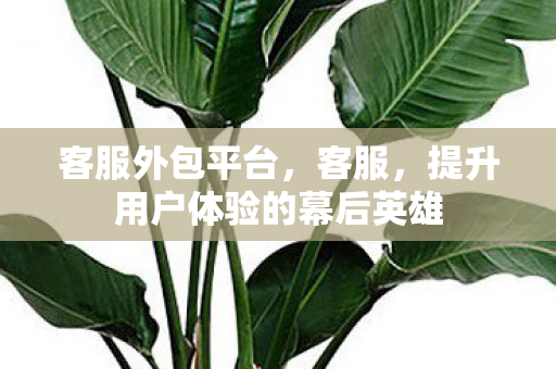 客服外包平台，客服，提升用户体验的幕后英雄