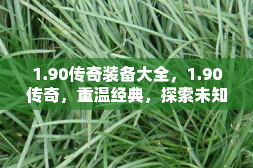 1.90传奇装备大全,1.90传奇,重温经典,探索未知 1.90传奇装备大全,1.90传奇,重温经典,探索未知
