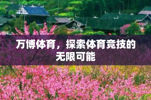 万博体育,探索体育竞技的无限可能 万博体育,探索体育竞技的无限可能