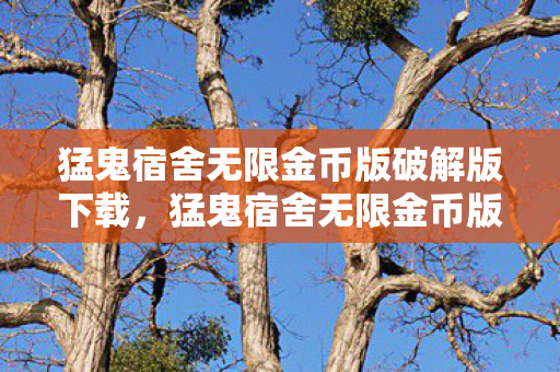 猛鬼宿舍无限金币版破解版下载，猛鬼宿舍无限金币版，解锁全新游戏体验