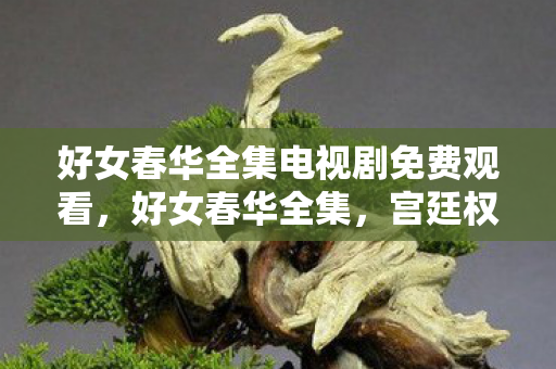 好女春华全集电视剧免费观看,好女春华全集,宫廷权谋与情感纠葛的深刻剖析 好女春华全集电视剧免费观看,好女春华全集,宫廷权谋与情感纠葛的深刻剖析