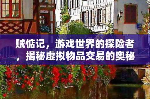 贼惦记,游戏世界的探险者,揭秘虚拟物品交易的奥秘 贼惦记,游戏世界的探险者,揭秘虚拟物品交易的奥秘