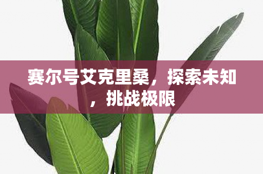 赛尔号艾克里桑，探索未知，挑战极限