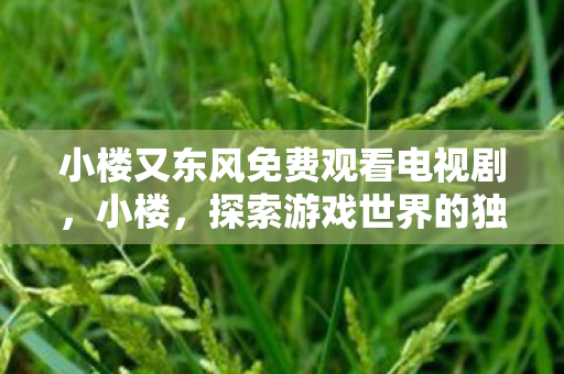 小楼又东风免费观看电视剧,小楼,探索游戏世界的独特魅力 小楼又东风免费观看电视剧,小楼,探索游戏世界的独特魅力